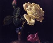 马丁约翰逊赫德 - The White Rose